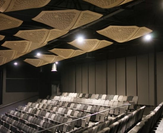 Large Smart Acoustic Panels at 3Ci Auditorium 3Ci control reverberation